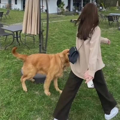 第十一个妈妈